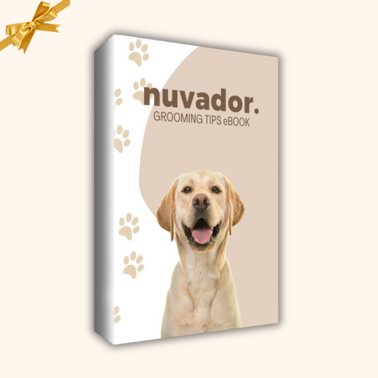 Grooming Tips eBook